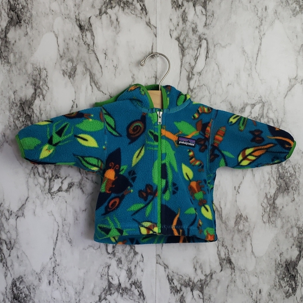 Patagonia Hoodie Jacket